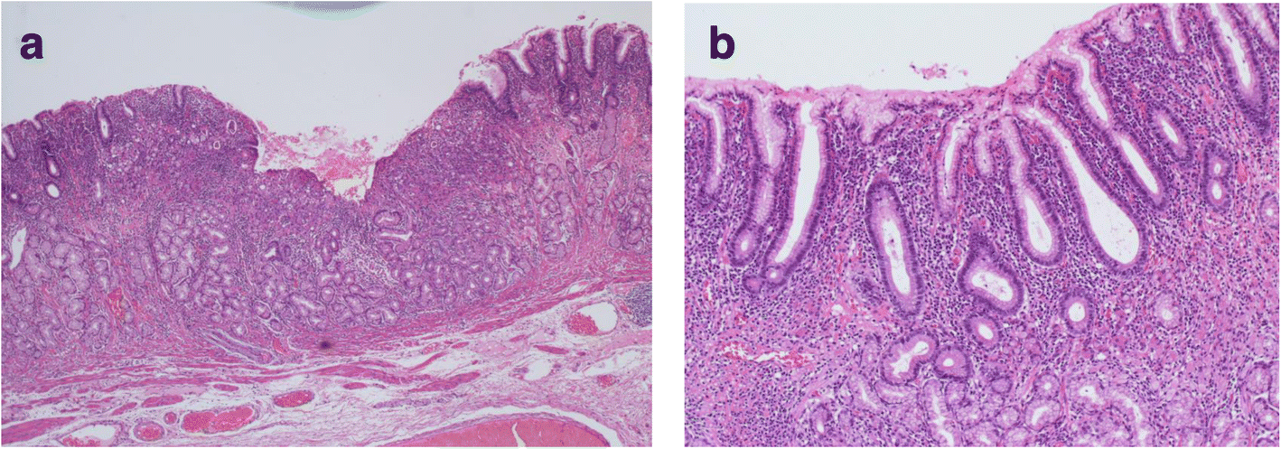 Fig. 5