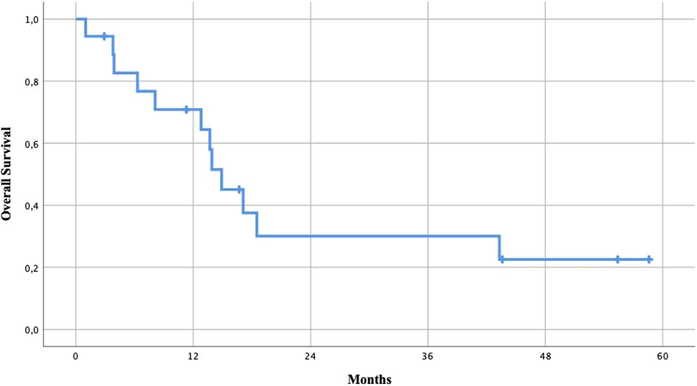 Fig. 2