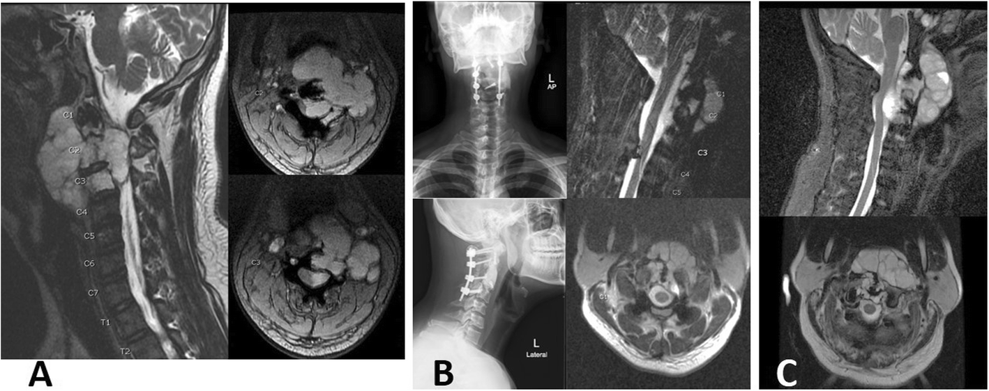 Fig. 5