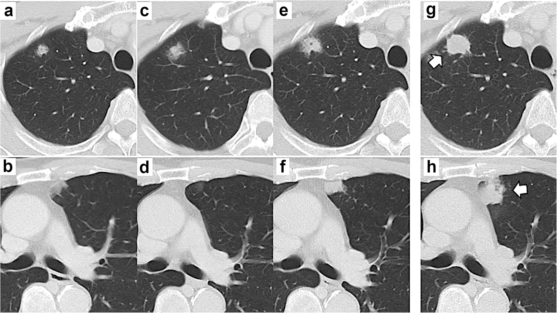 Fig. 5