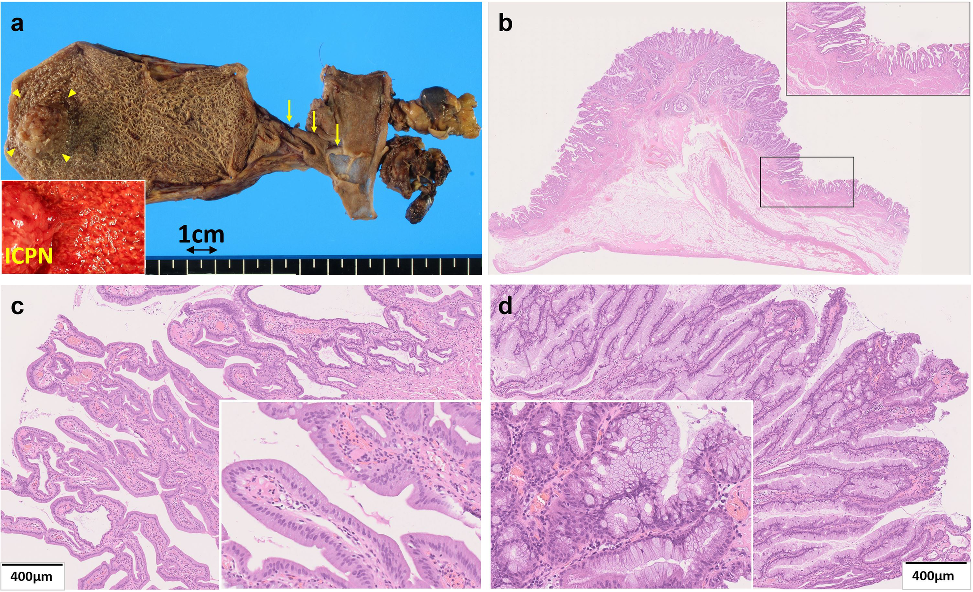 Fig. 3