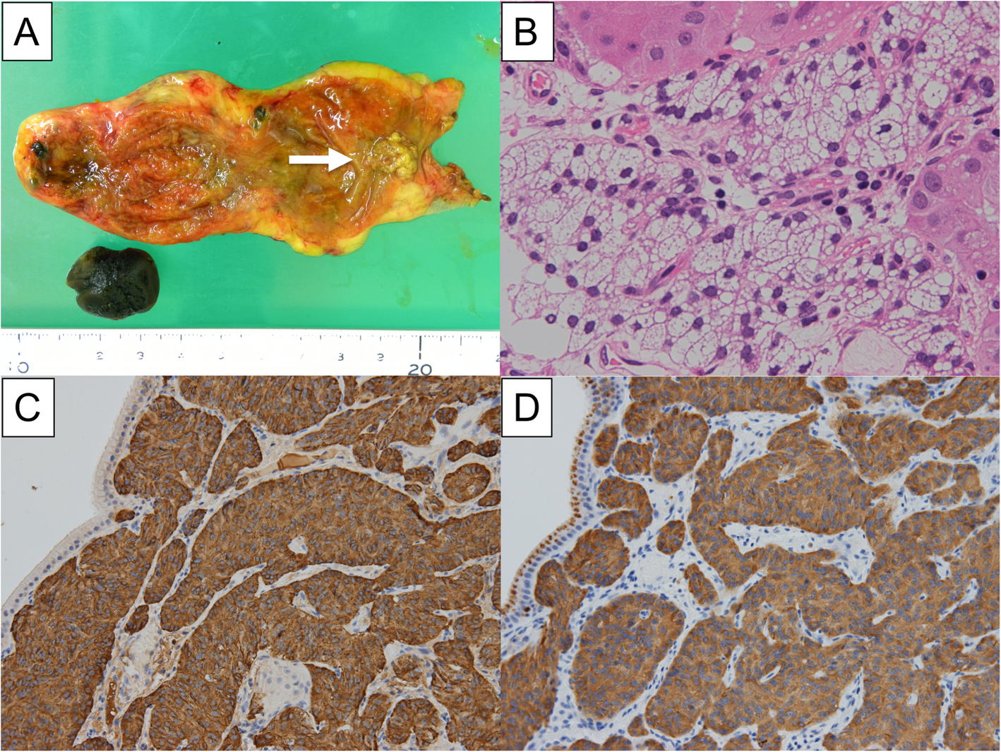 Fig. 4