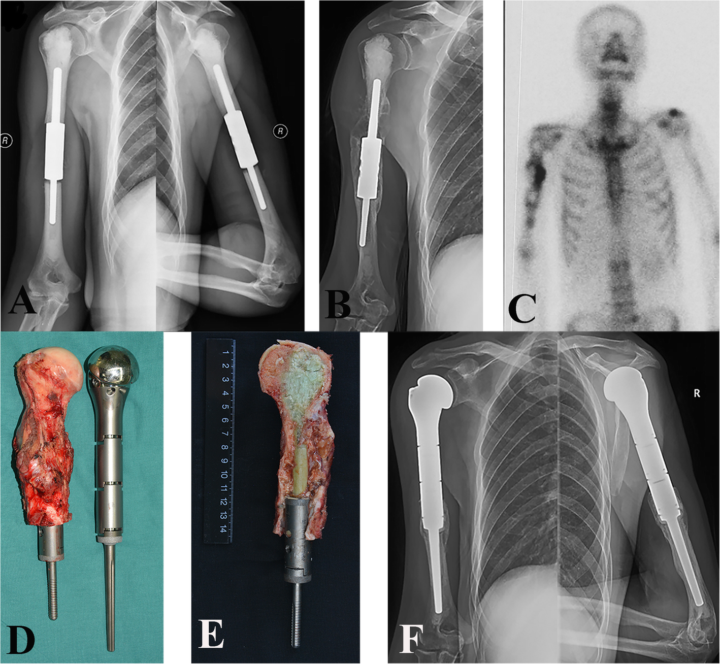 Fig. 5