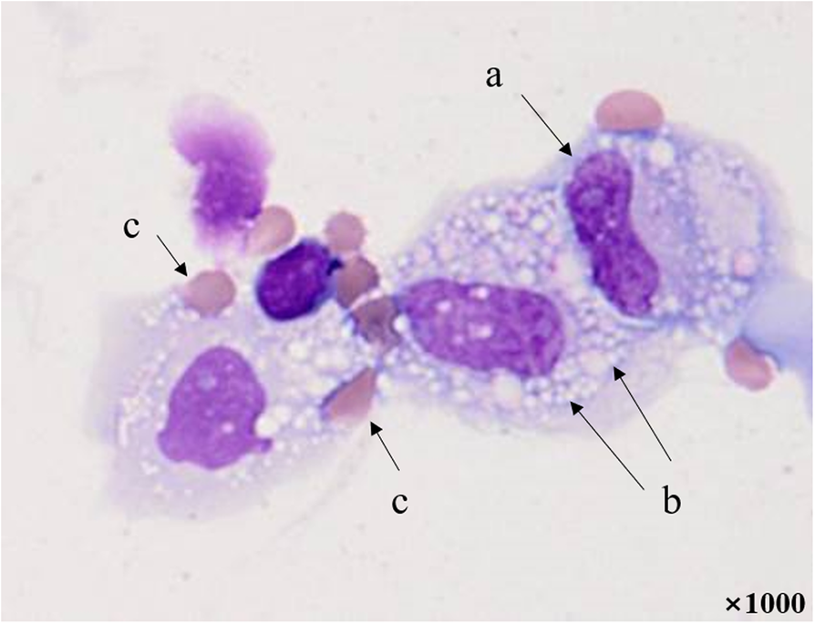 Fig. 1