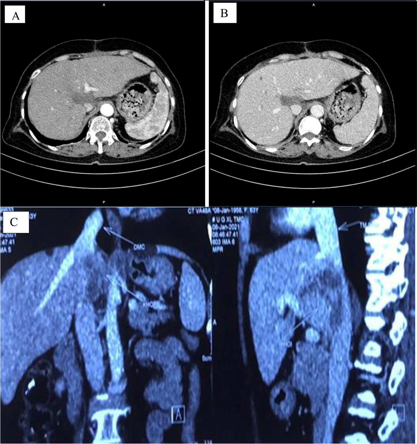 Fig. 6