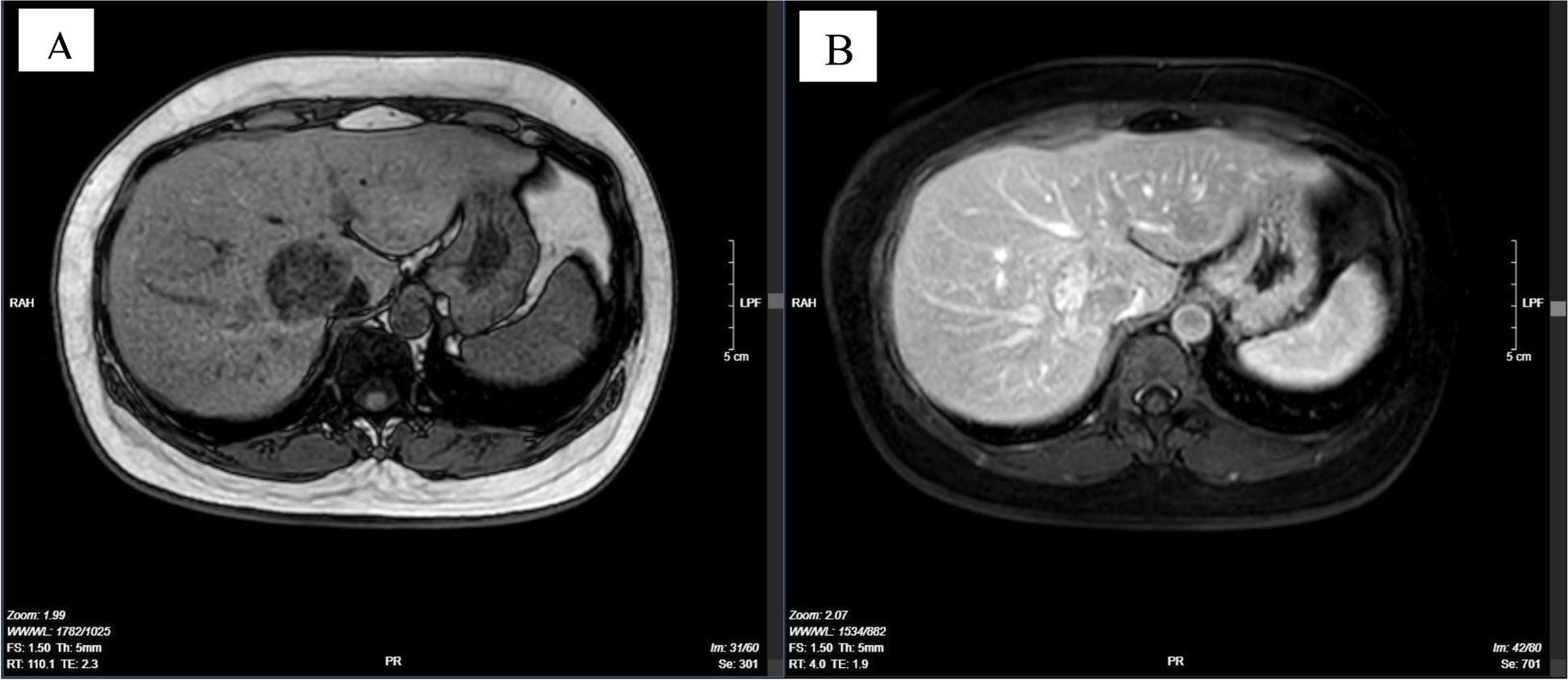 Fig. 8