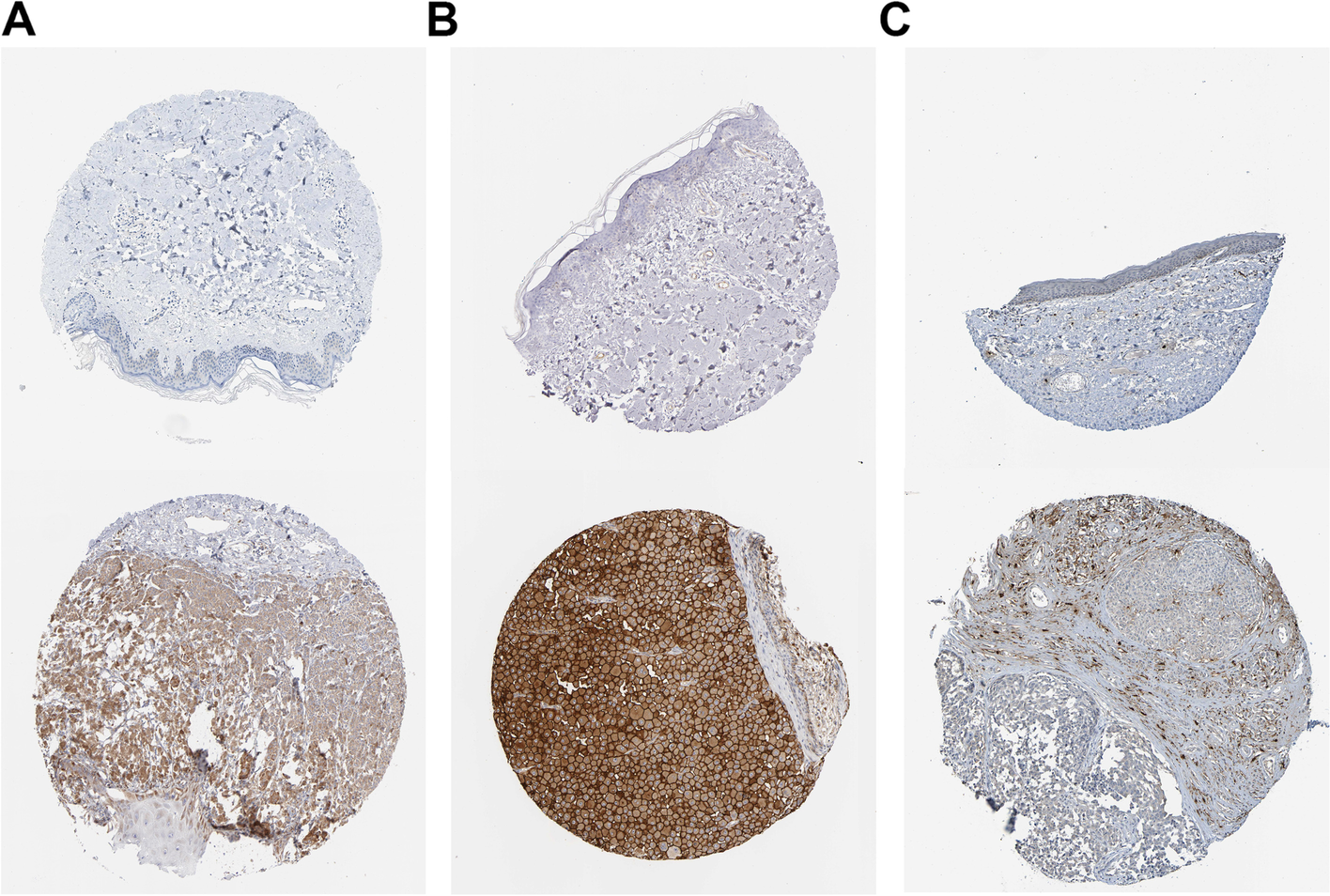 Fig. 13