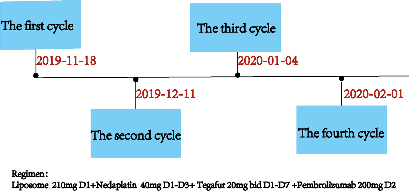 Fig. 4