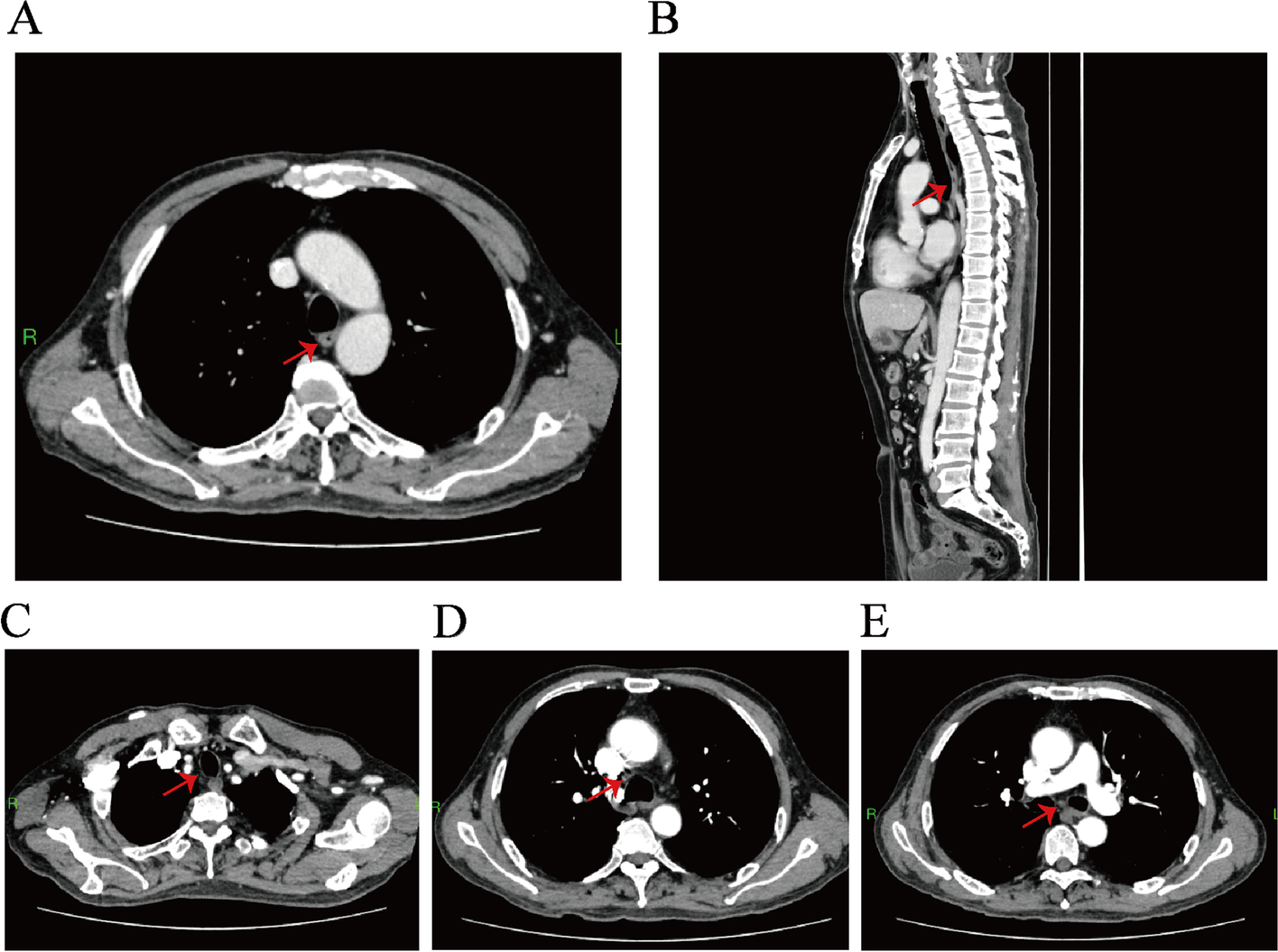 Fig. 6