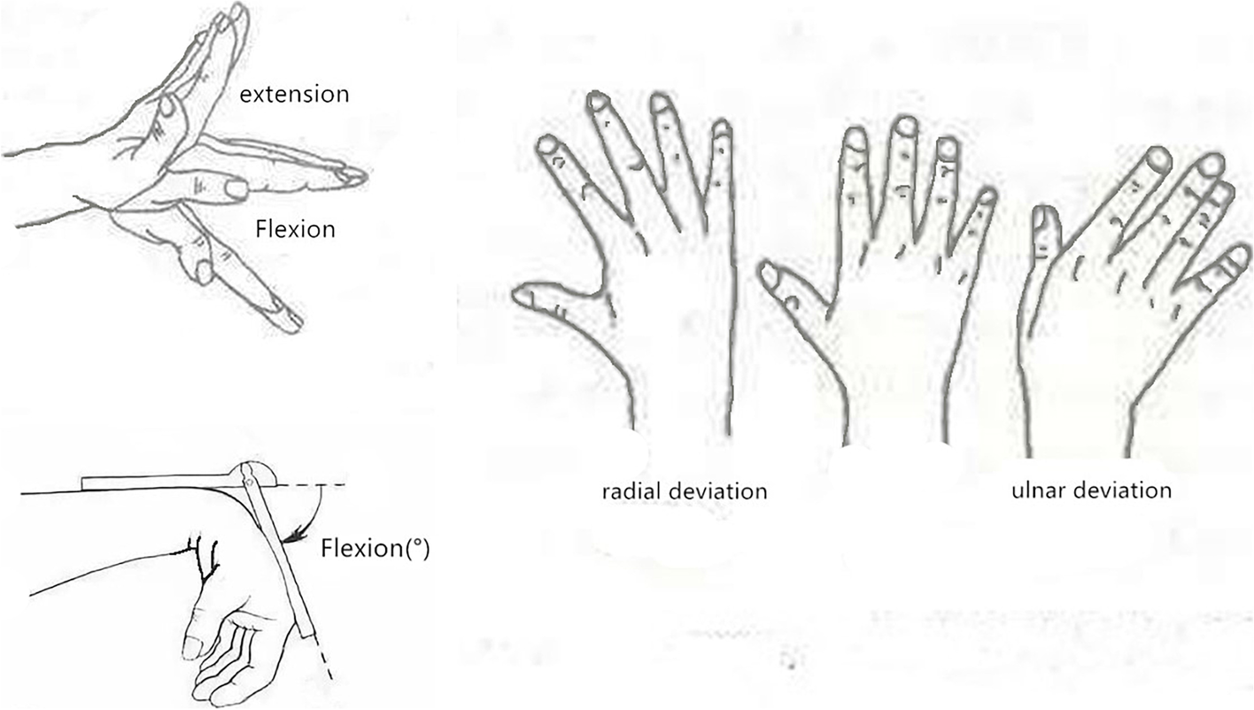 Fig. 5