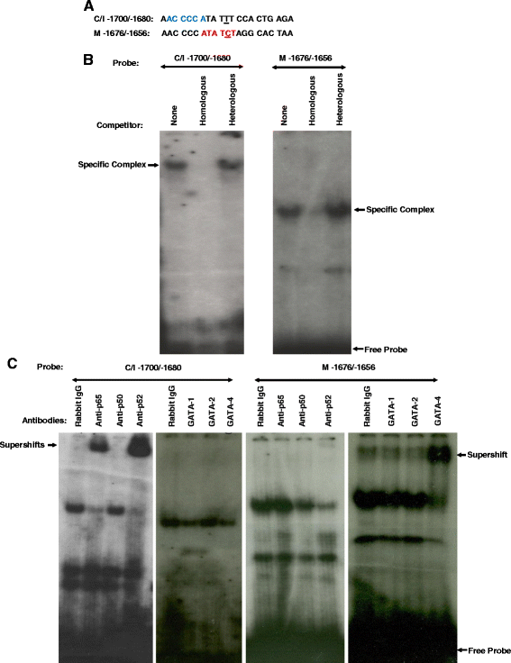 Fig. 5