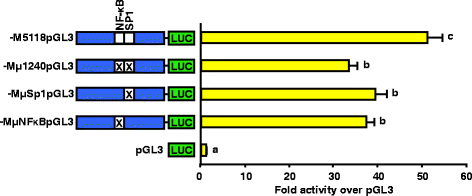 Fig. 9