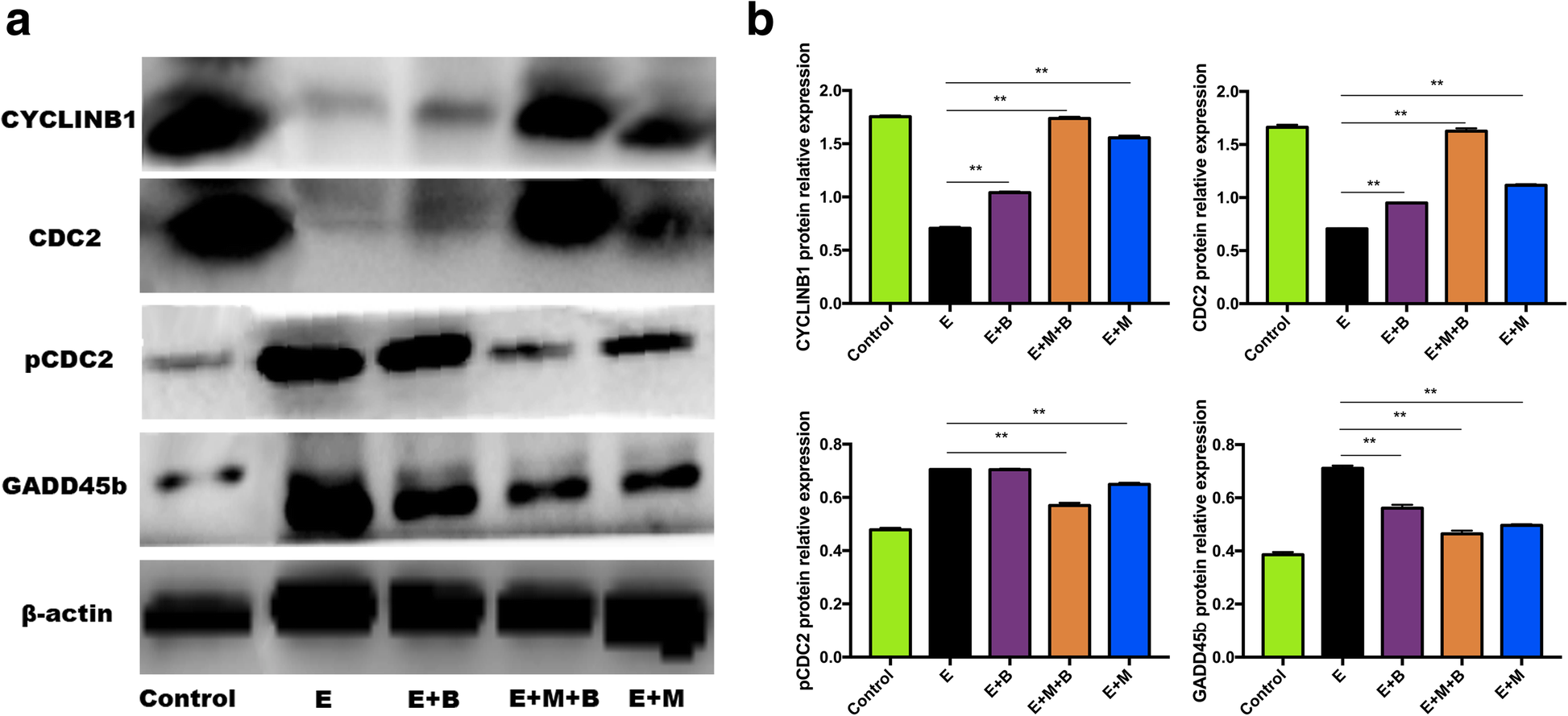 Fig. 8