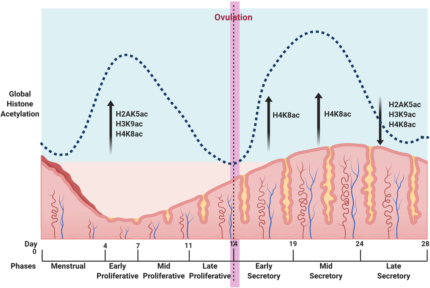 Fig. 2