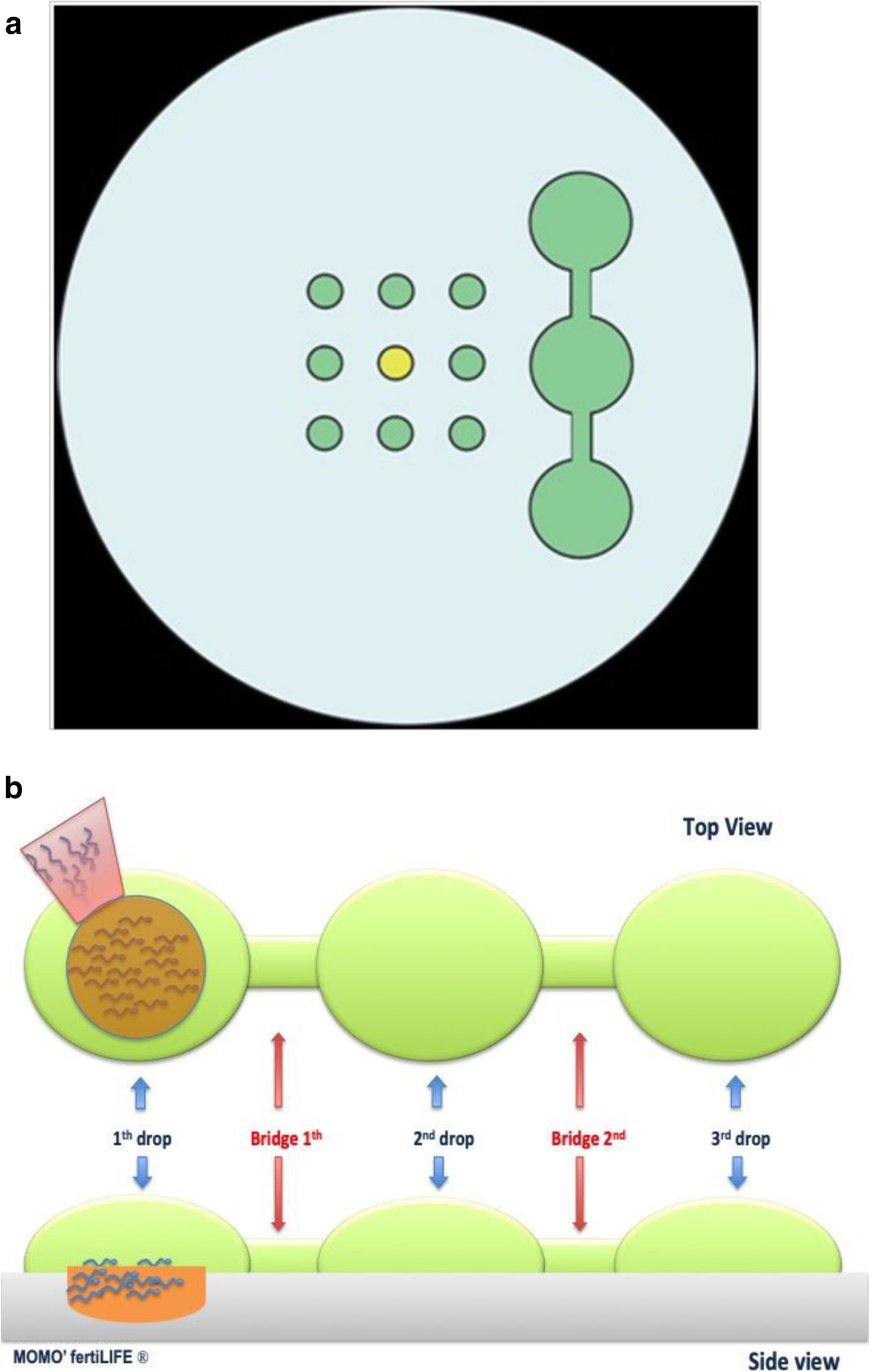 Fig. 2