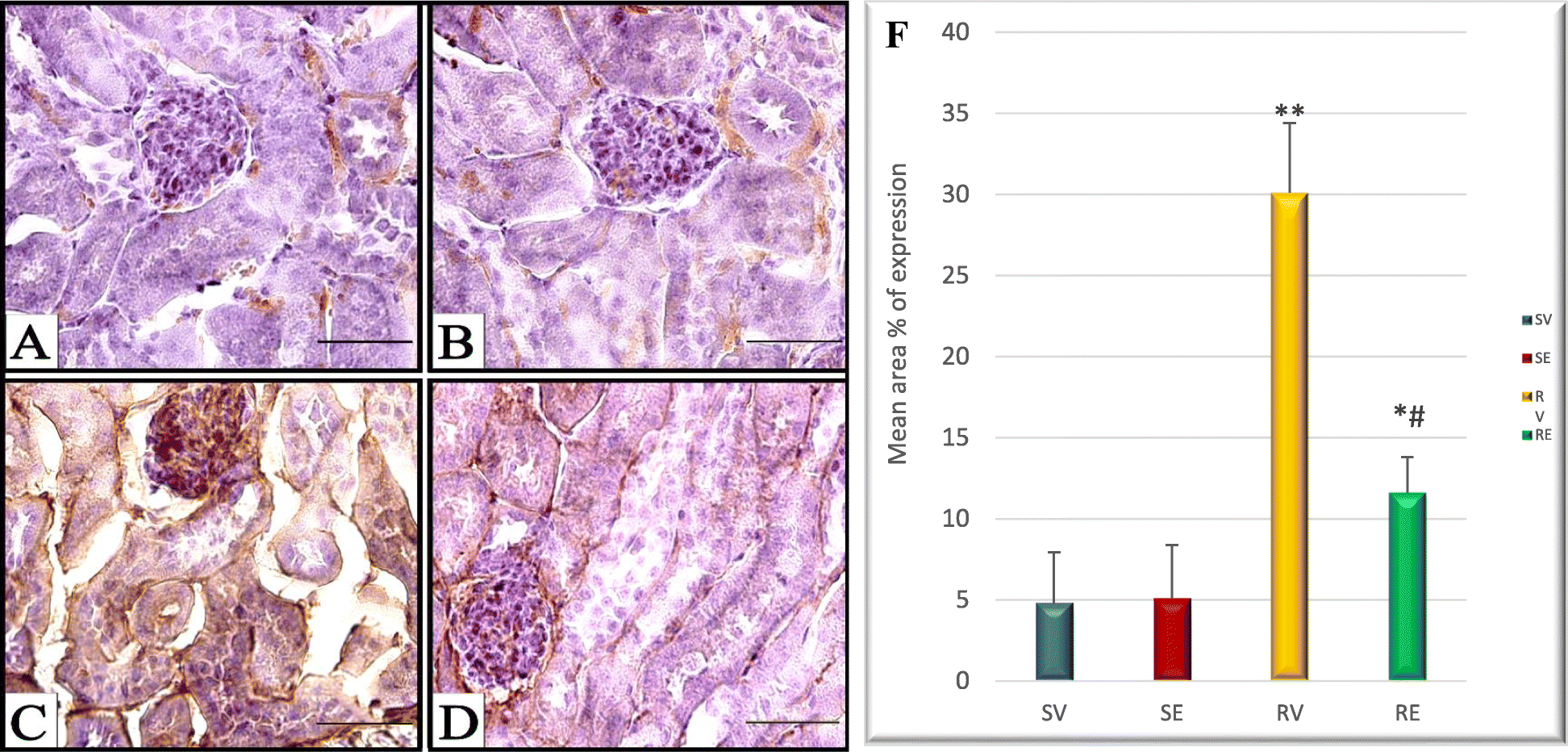 Fig. 8