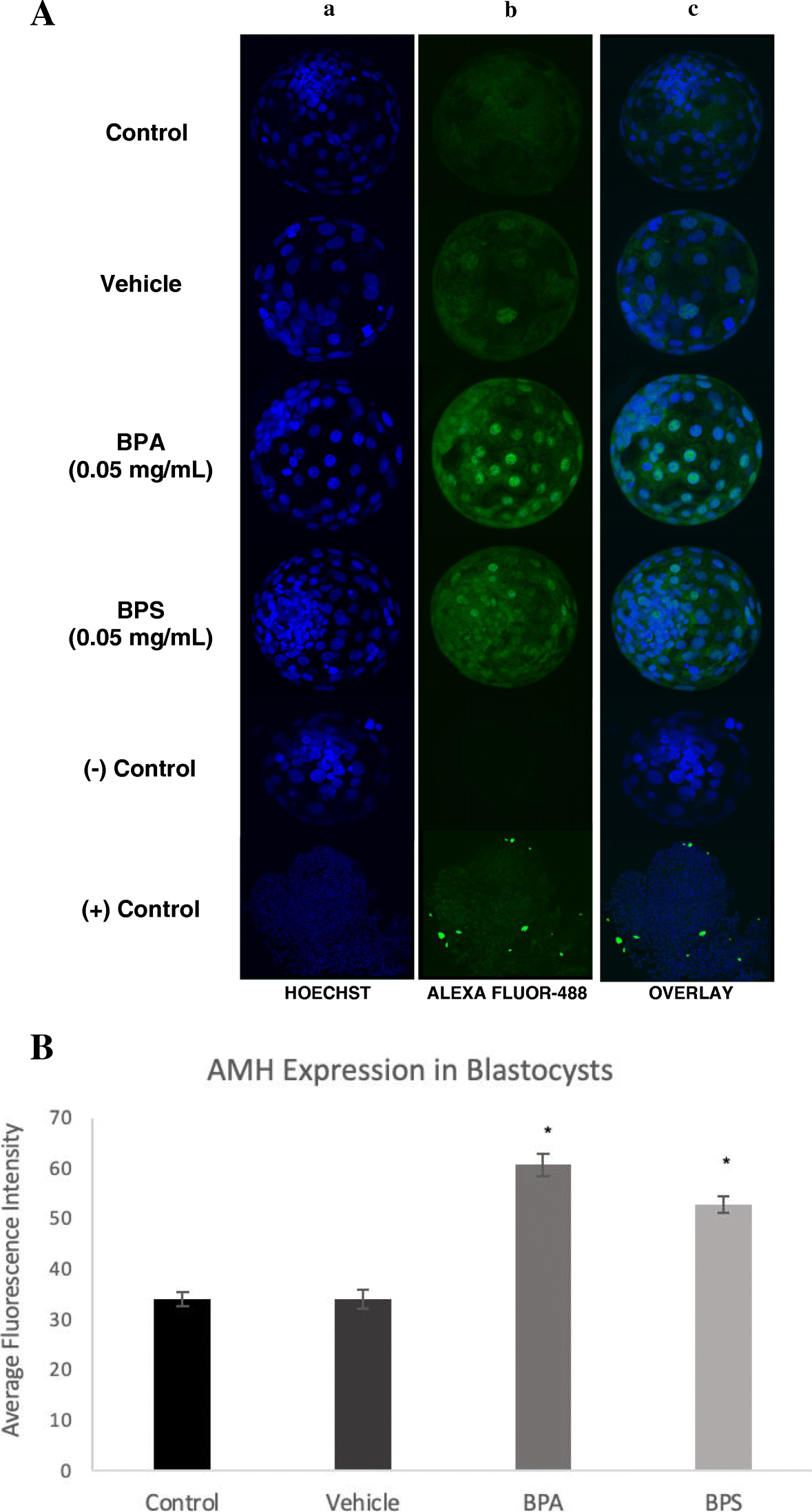 Fig. 12