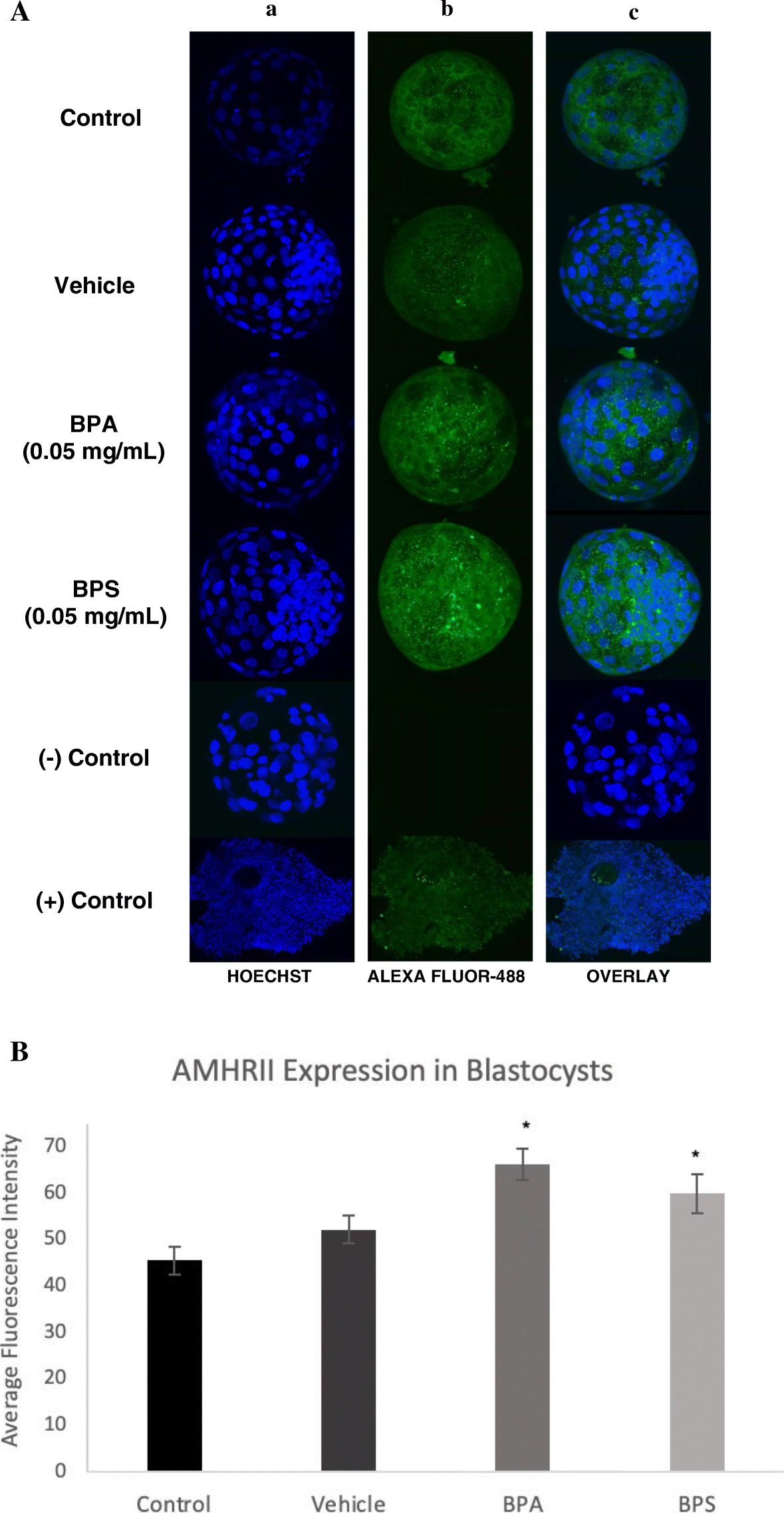 Fig. 13