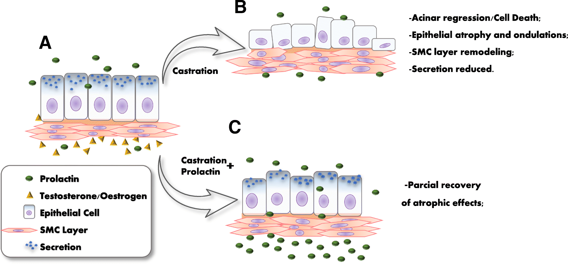 Fig. 9