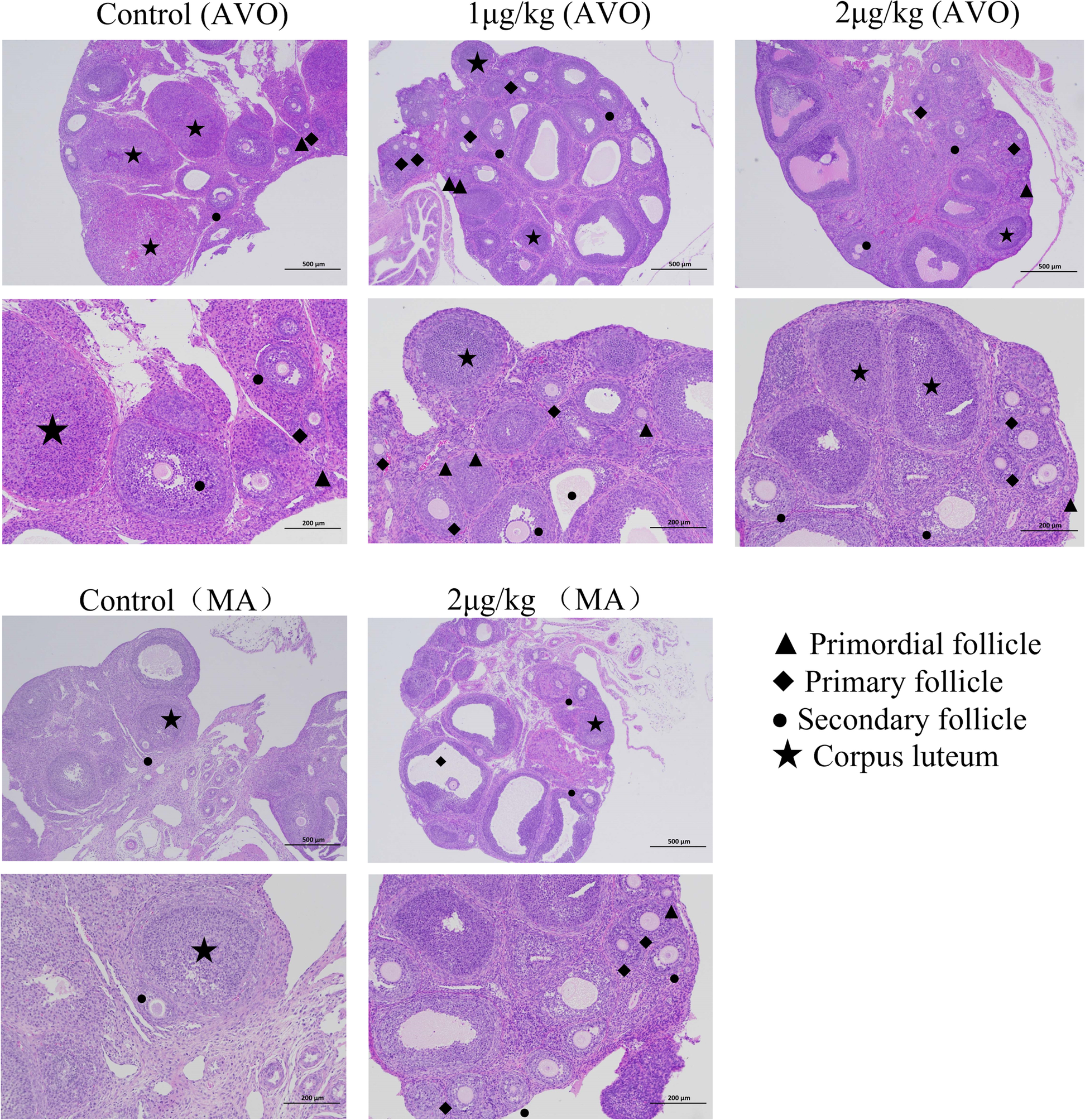 Fig. 8