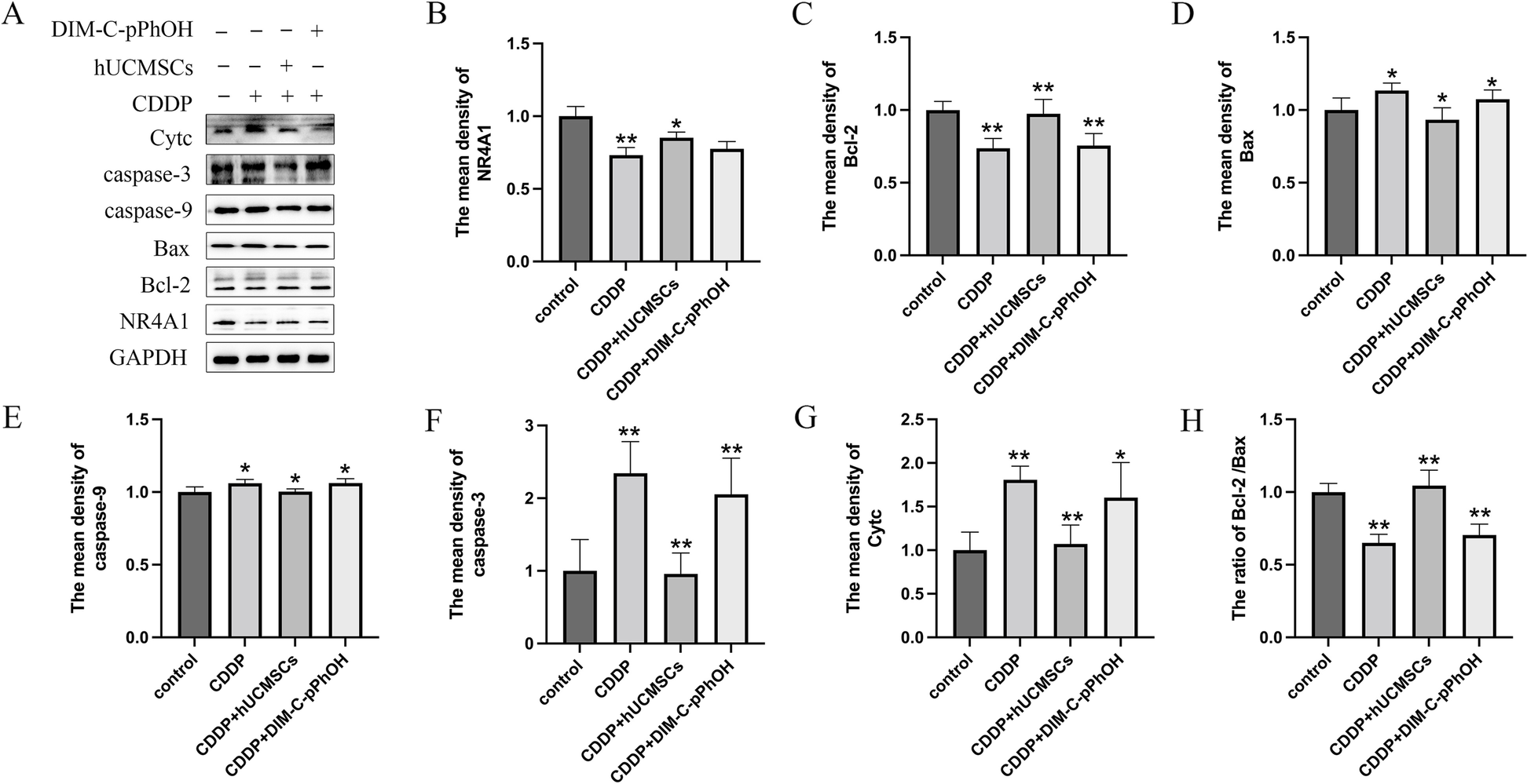 Fig. 8