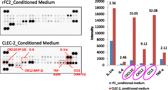 Fig. 9