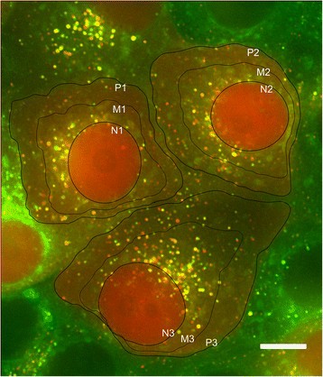 Figure 9