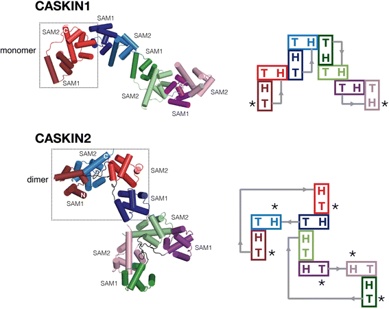 Fig. 3