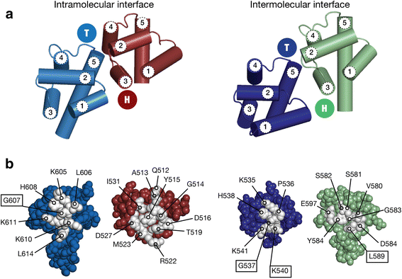 Fig. 4