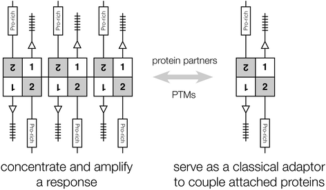 Fig. 9