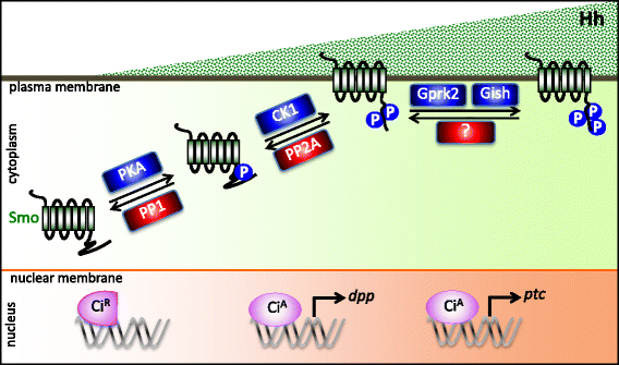 Fig. 3