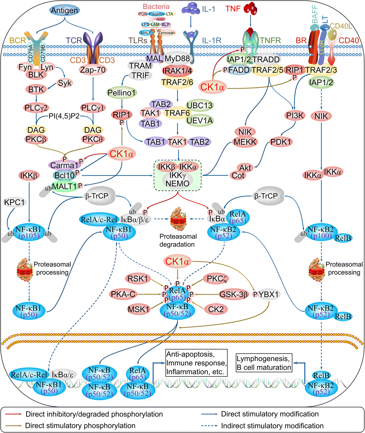 Fig. 7