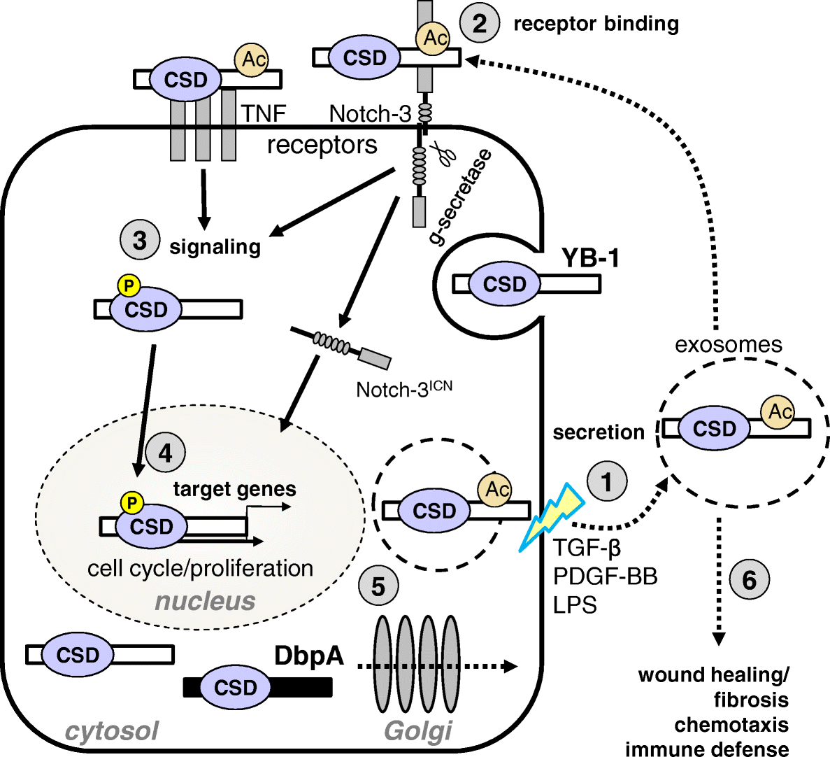 Fig. 2