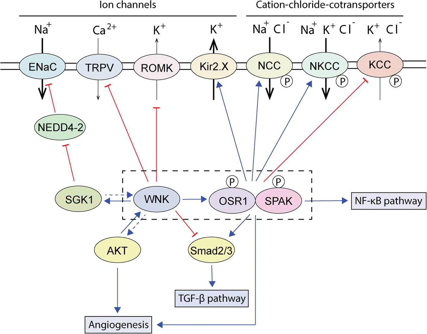 Fig. 1