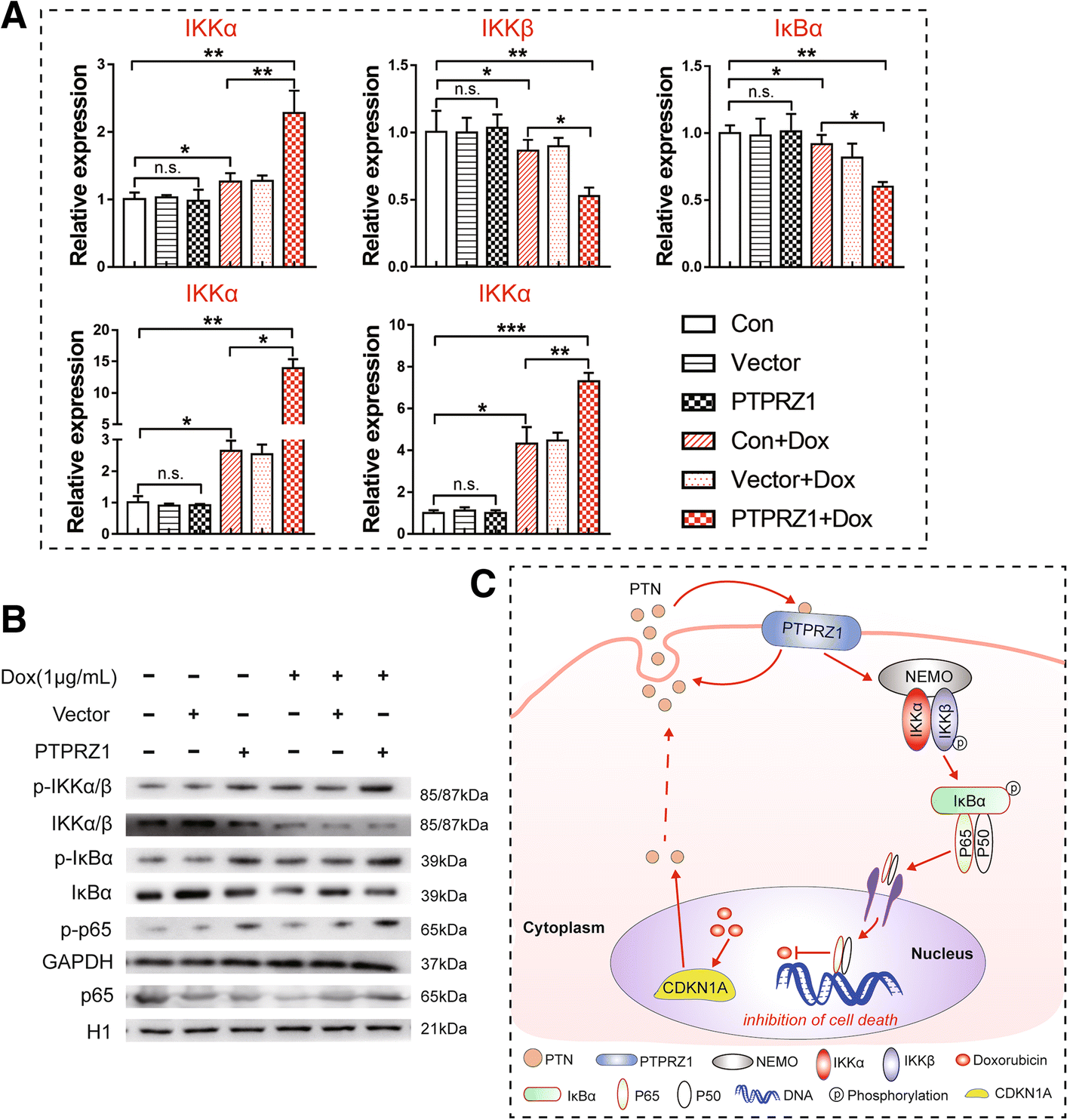 Fig. 6