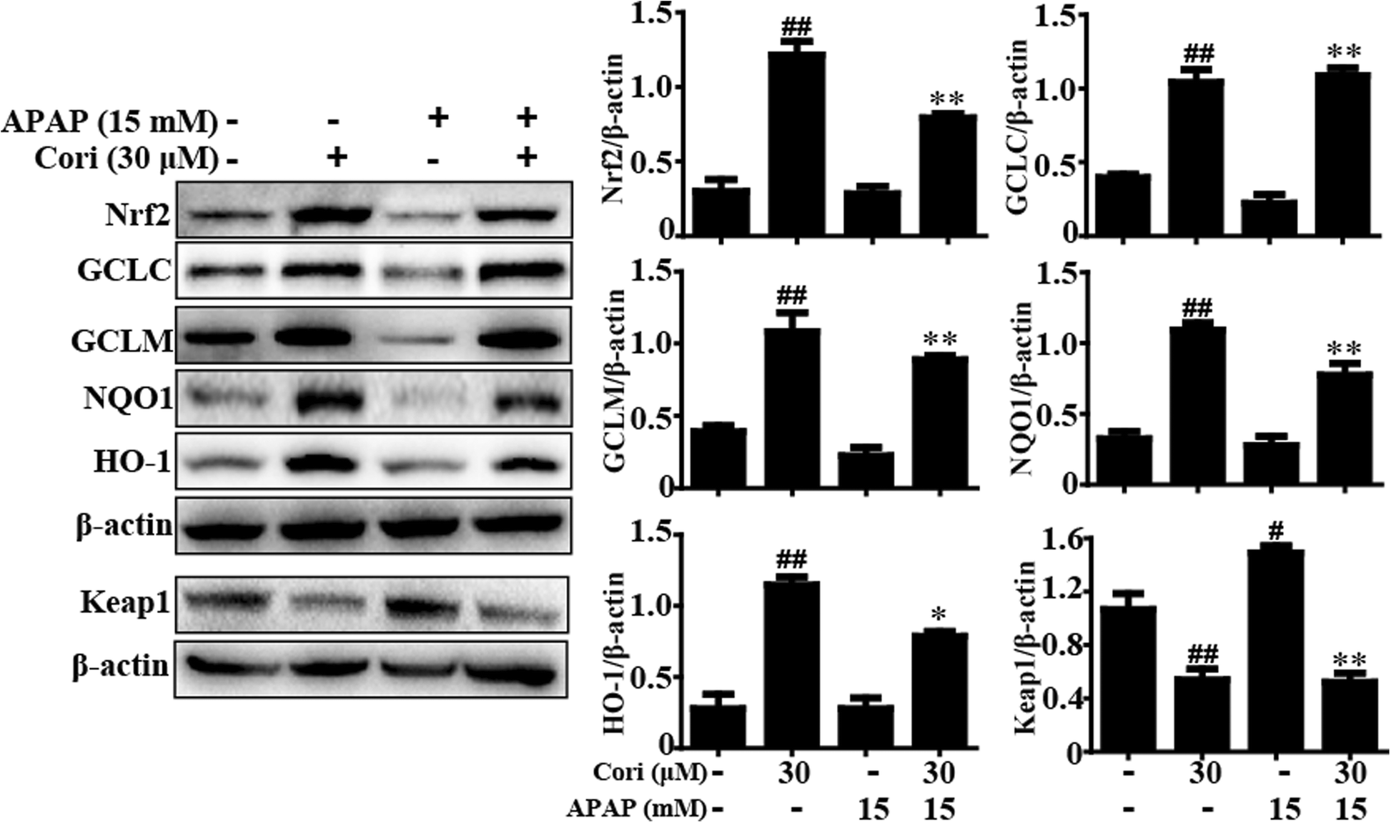 Fig. 4