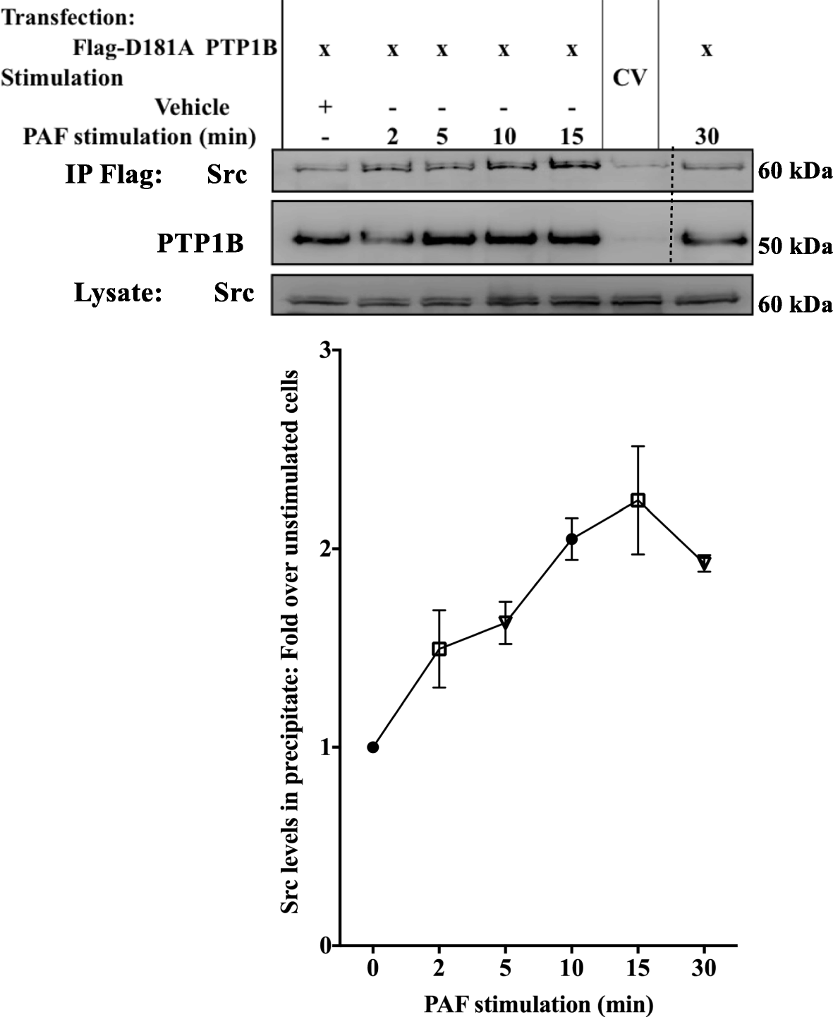 Fig. 8