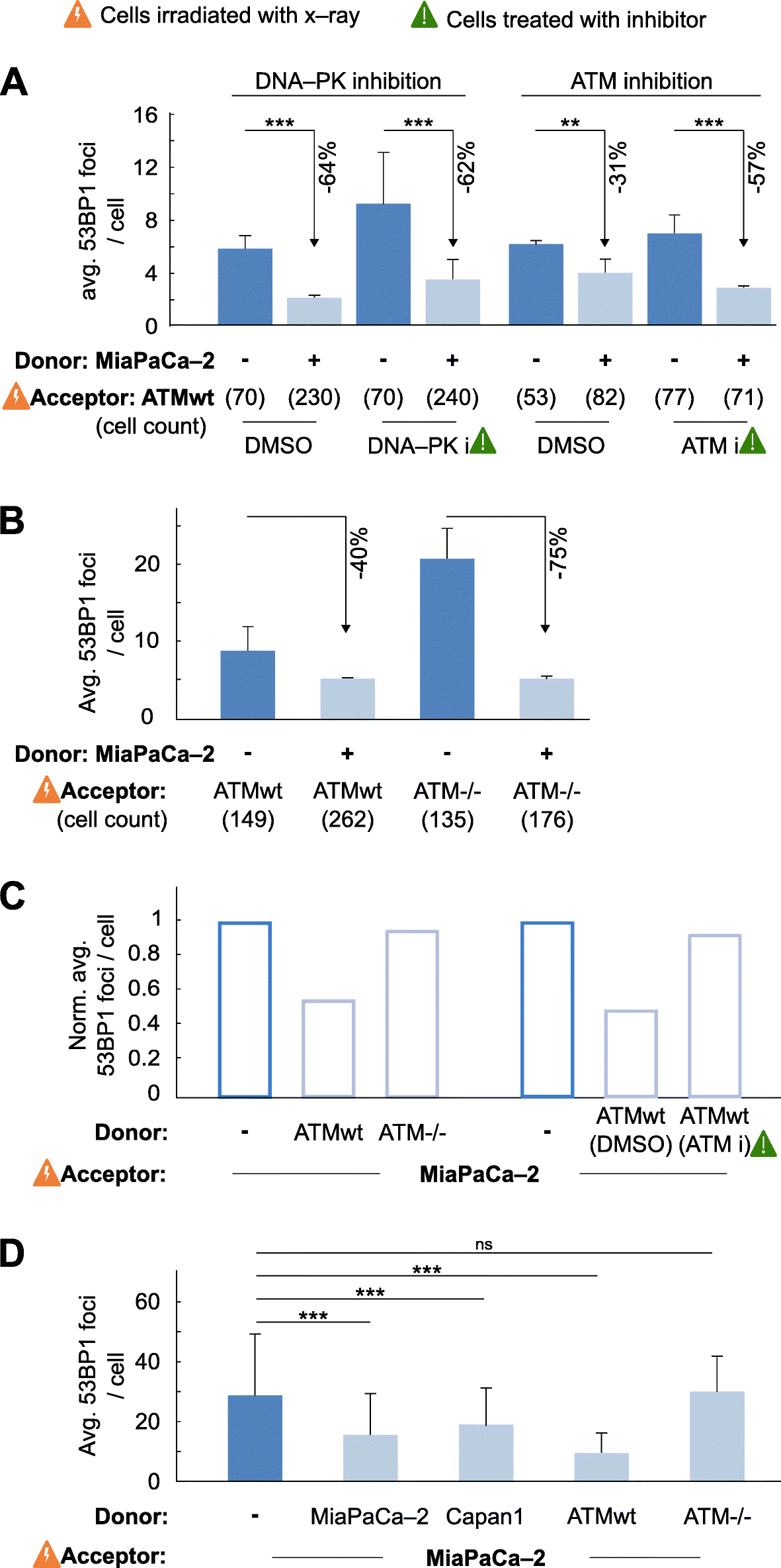 cell communication and signaling biomed central