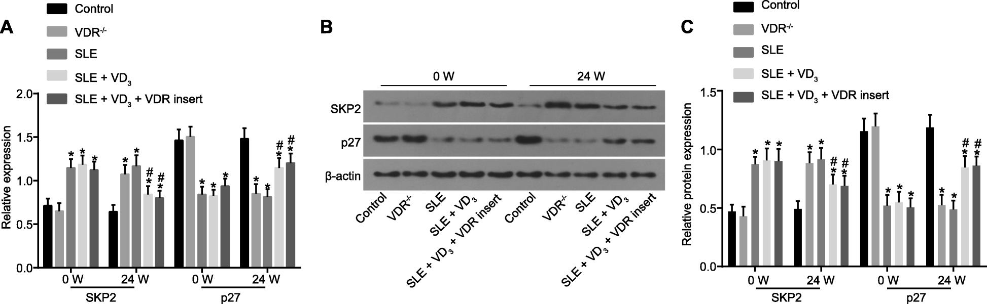 Fig. 12