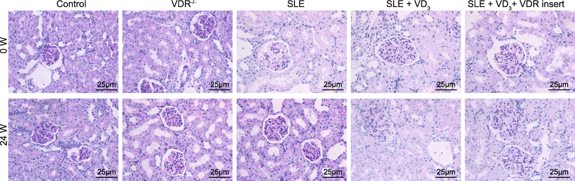 Fig. 5