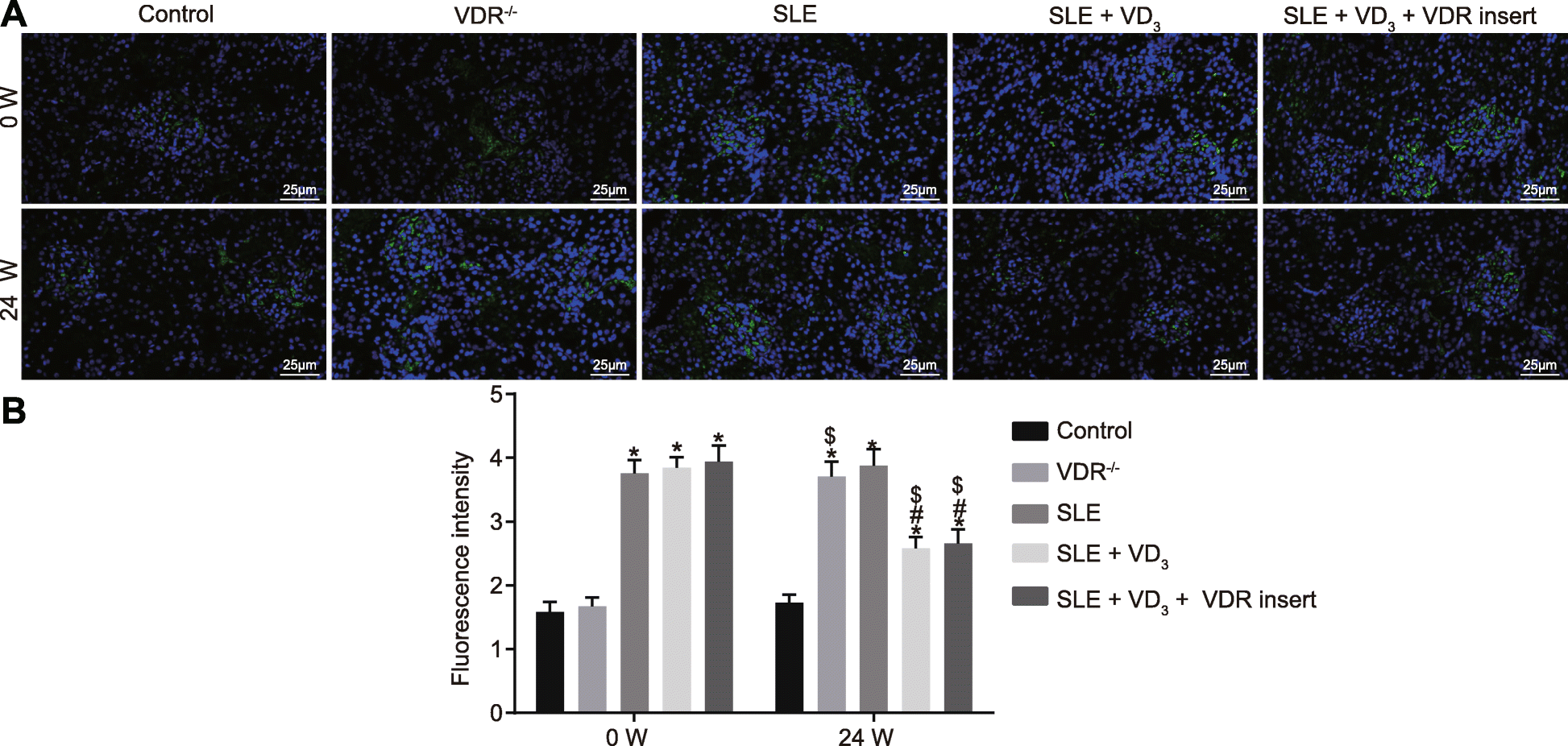 Fig. 9