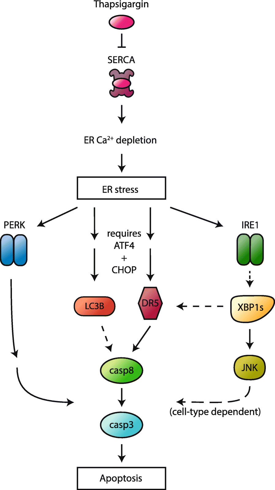 Fig. 9