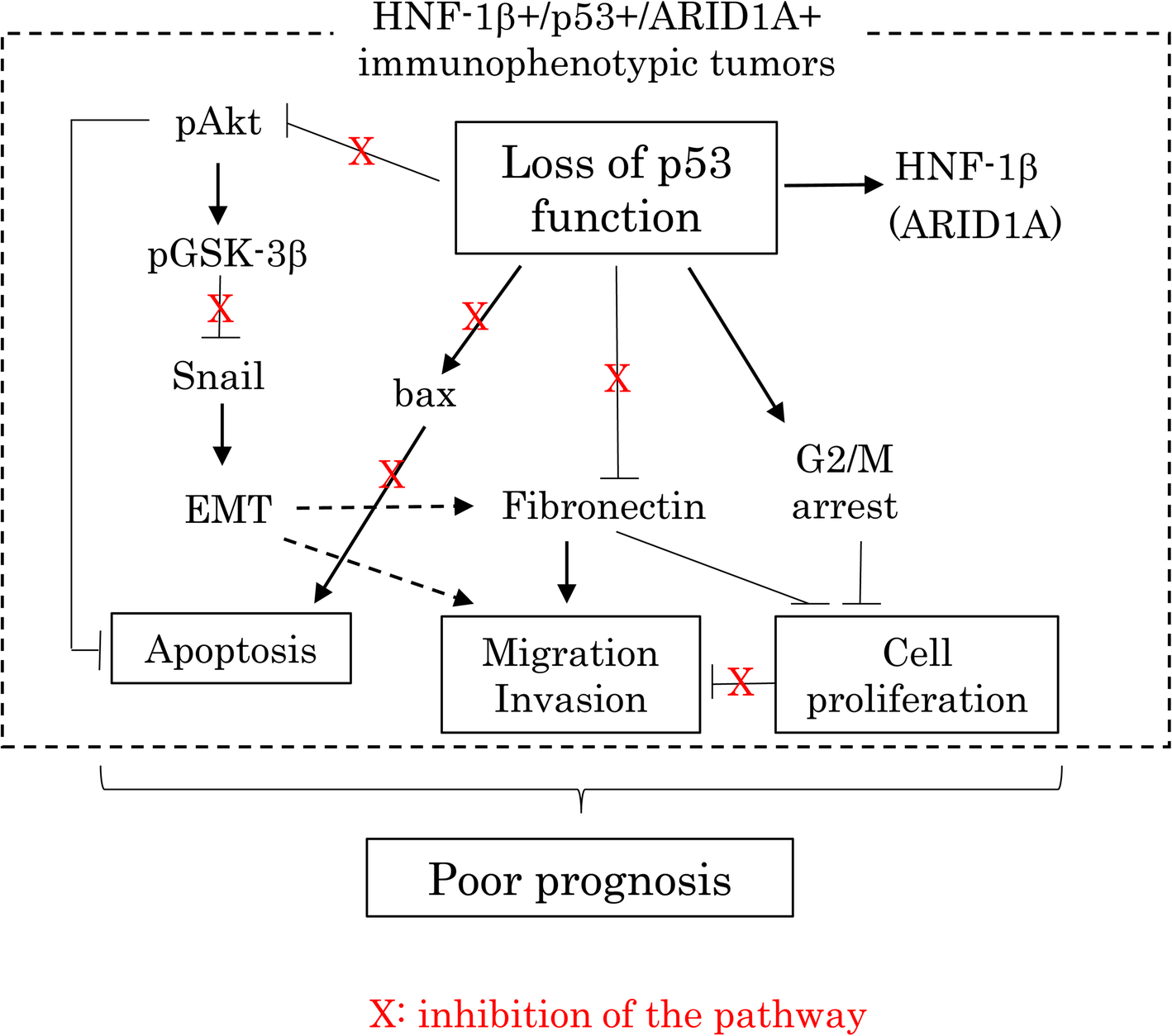 Fig. 9