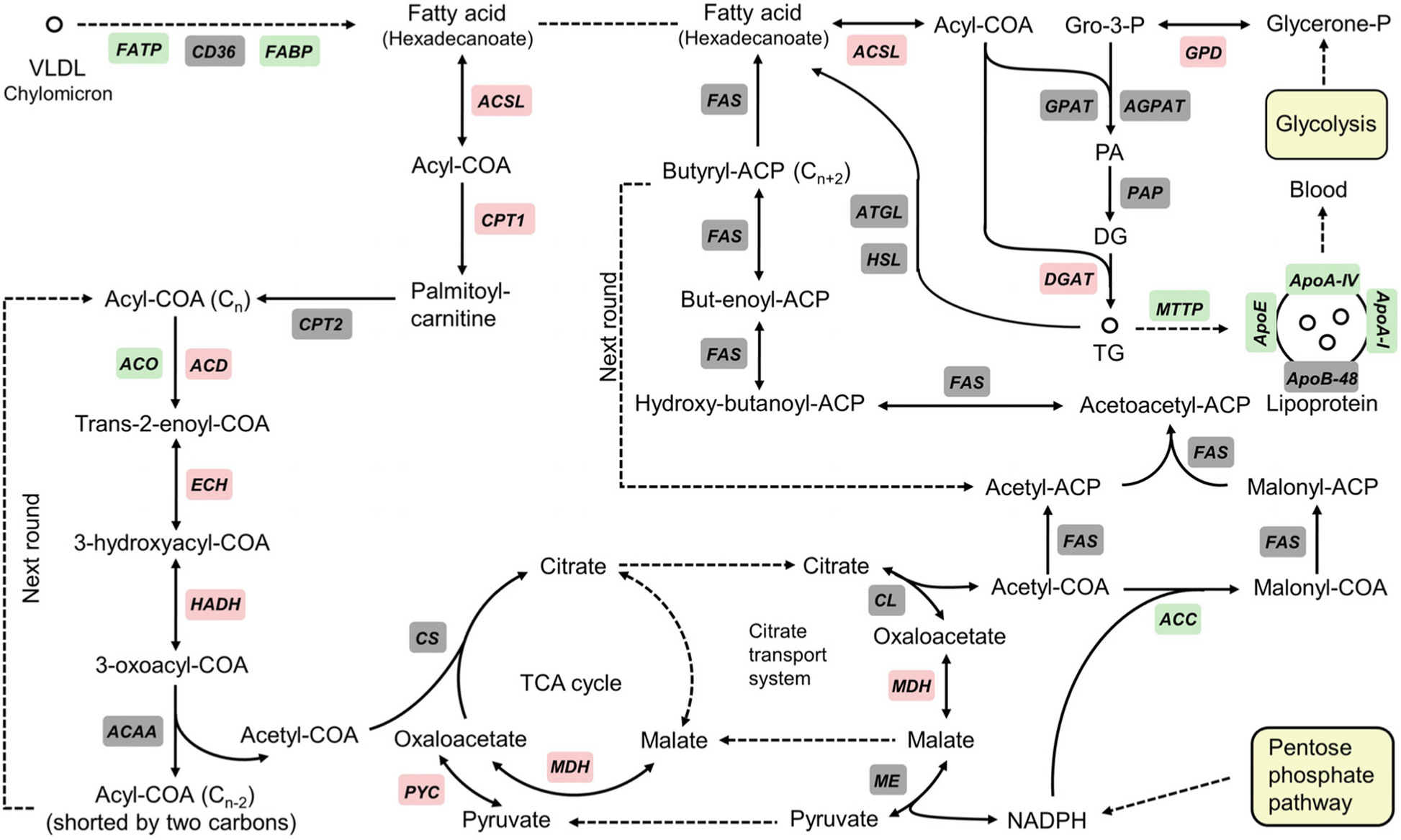 Fig. 2