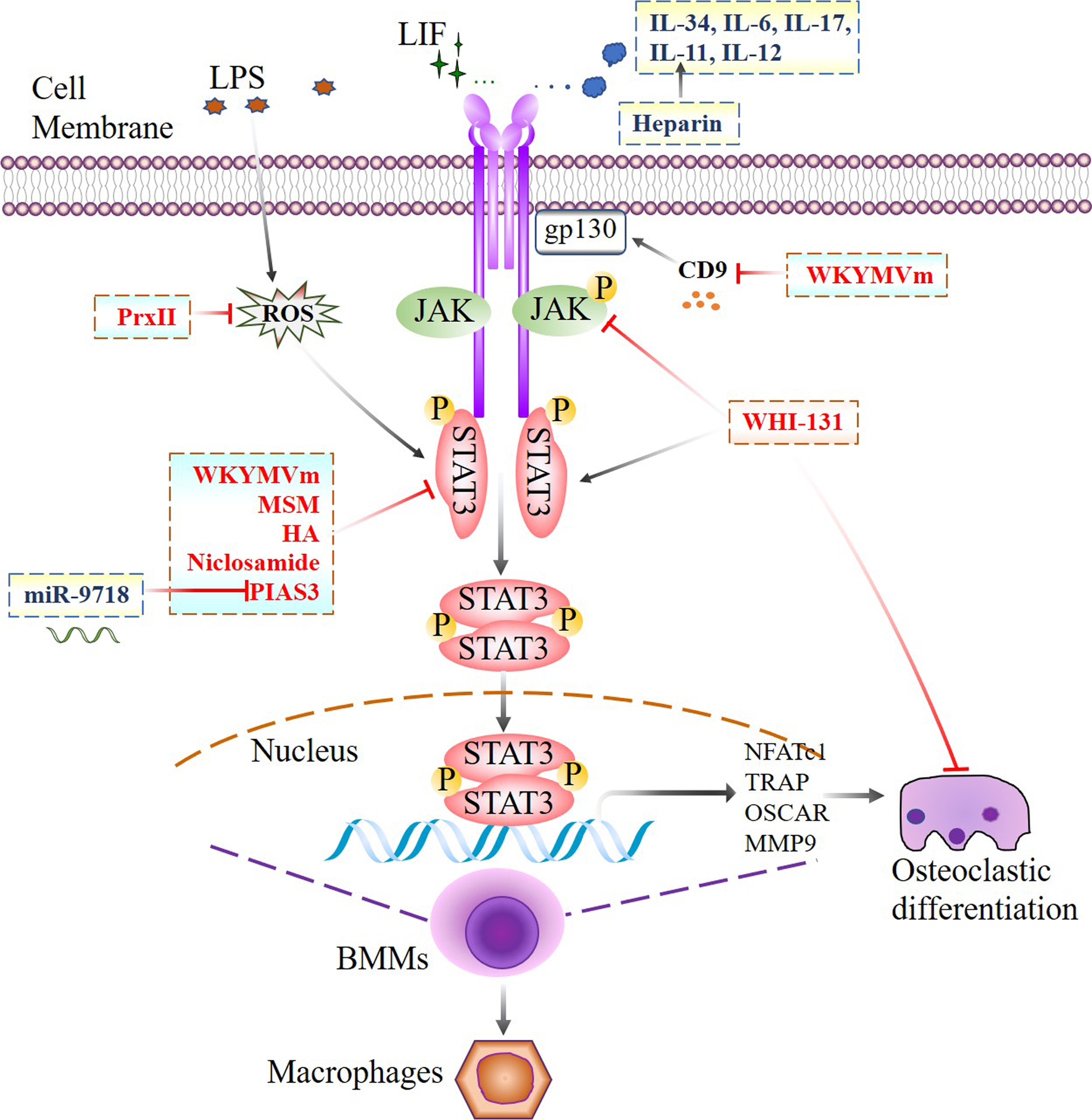 Fig. 4