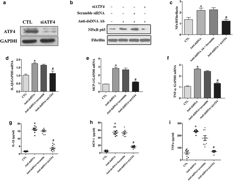 Figure 6