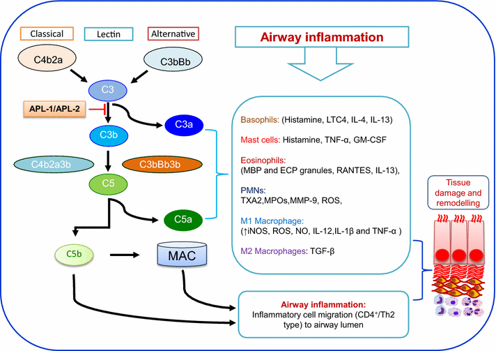 Fig. 1