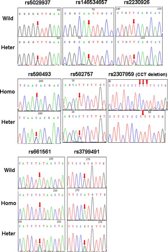 Figure 2