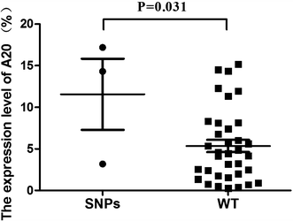 Figure 5