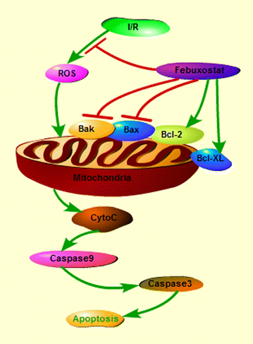 Figure 7